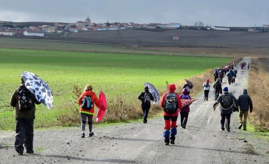 Un grupo de caminantes se protegen de la lluvia con paraguas y chubasqueros. 