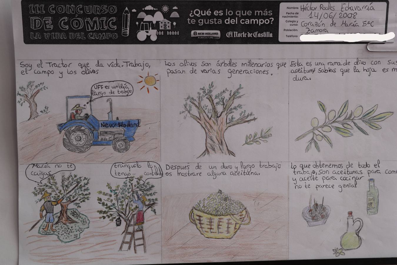 Fotos: Trabajos de 5º de Primaria en la modalidad de cómic del III Concurso de Dibujo y Cómic &#039;La vida del campo