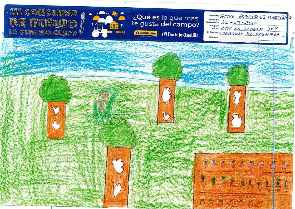 Fotos: Trabajos de 3º de Primaria en la modalidad de dibujo del III Concurso de Dibujo y Cómic &#039;La vida del campo&#039;