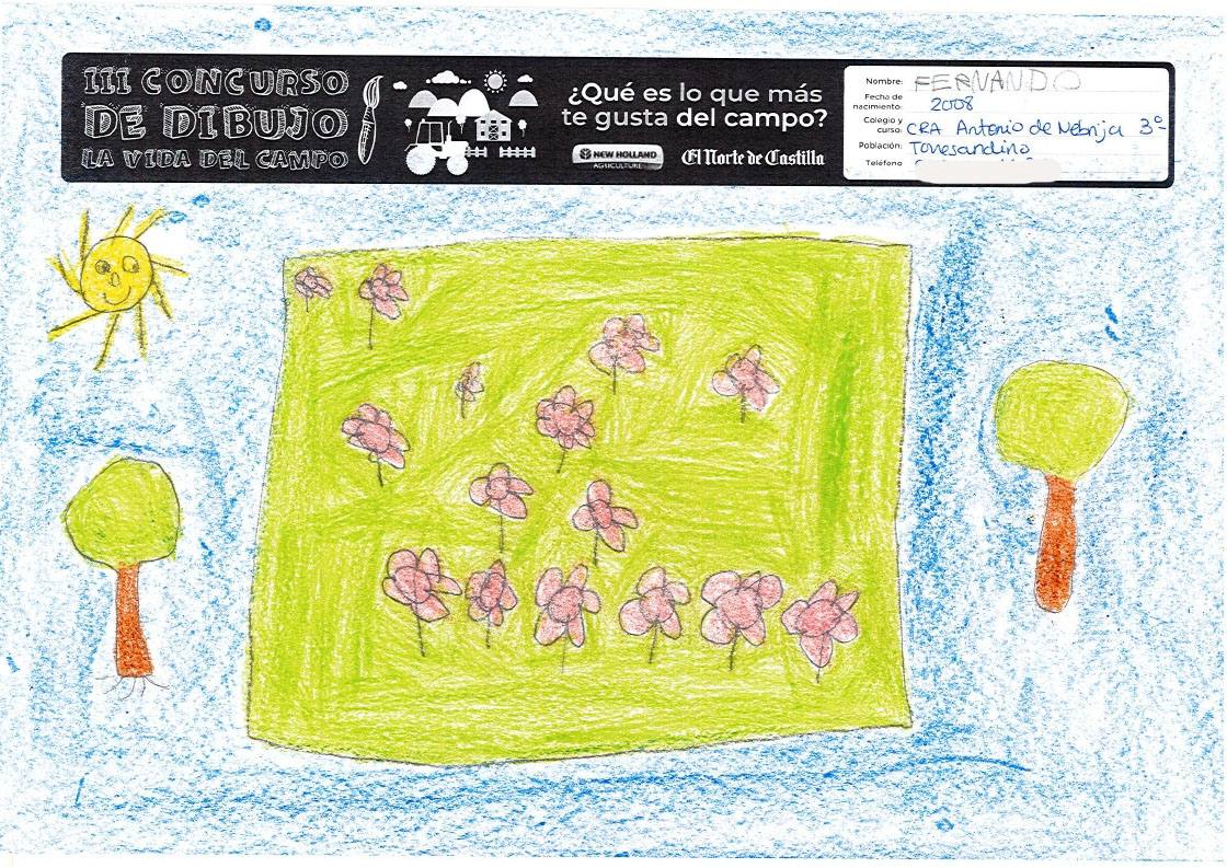 Fotos: Trabajos de 3º de Primaria en la modalidad de dibujo del III Concurso de Dibujo y Cómic &#039;La vida del campo&#039;