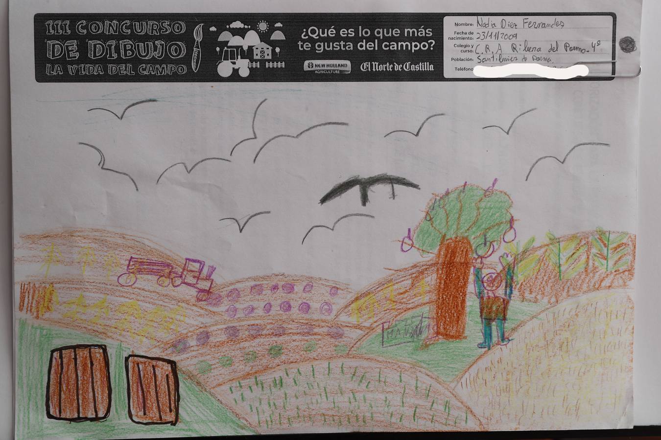 Fotos: Trabajos de 4º de Primaria en la modalidad de dibujo del III Concurso de Dibujo y Cómic &#039;La vida del campo&#039;