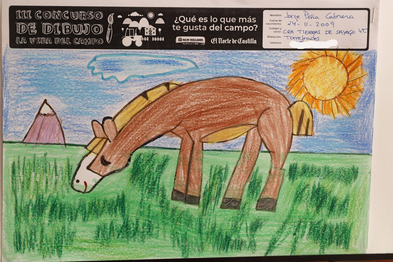 Fotos: Trabajos de 4º de Primaria en la modalidad de dibujo del III Concurso de Dibujo y Cómic &#039;La vida del campo&#039;