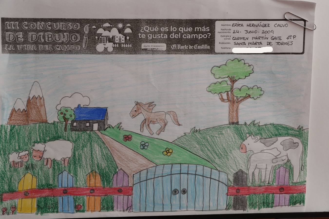 Fotos: Trabajos de 4º de Primaria en la modalidad de dibujo del III Concurso de Dibujo y Cómic &#039;La vida del campo&#039;