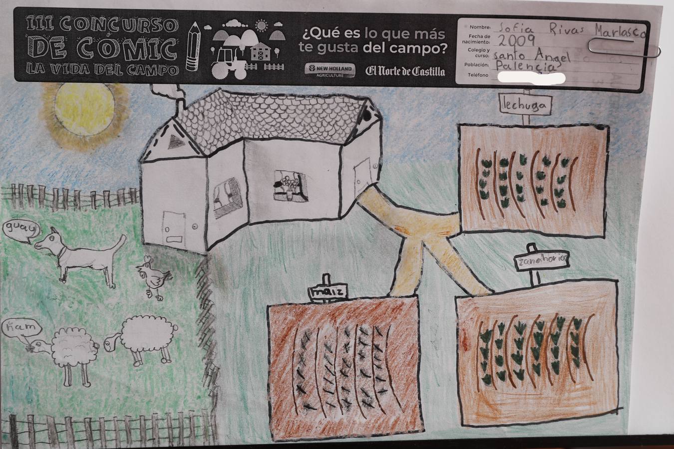 Fotos: Trabajos de 4º de Primaria en la modalidad de dibujo del III Concurso de Dibujo y Cómic &#039;La vida del campo&#039;