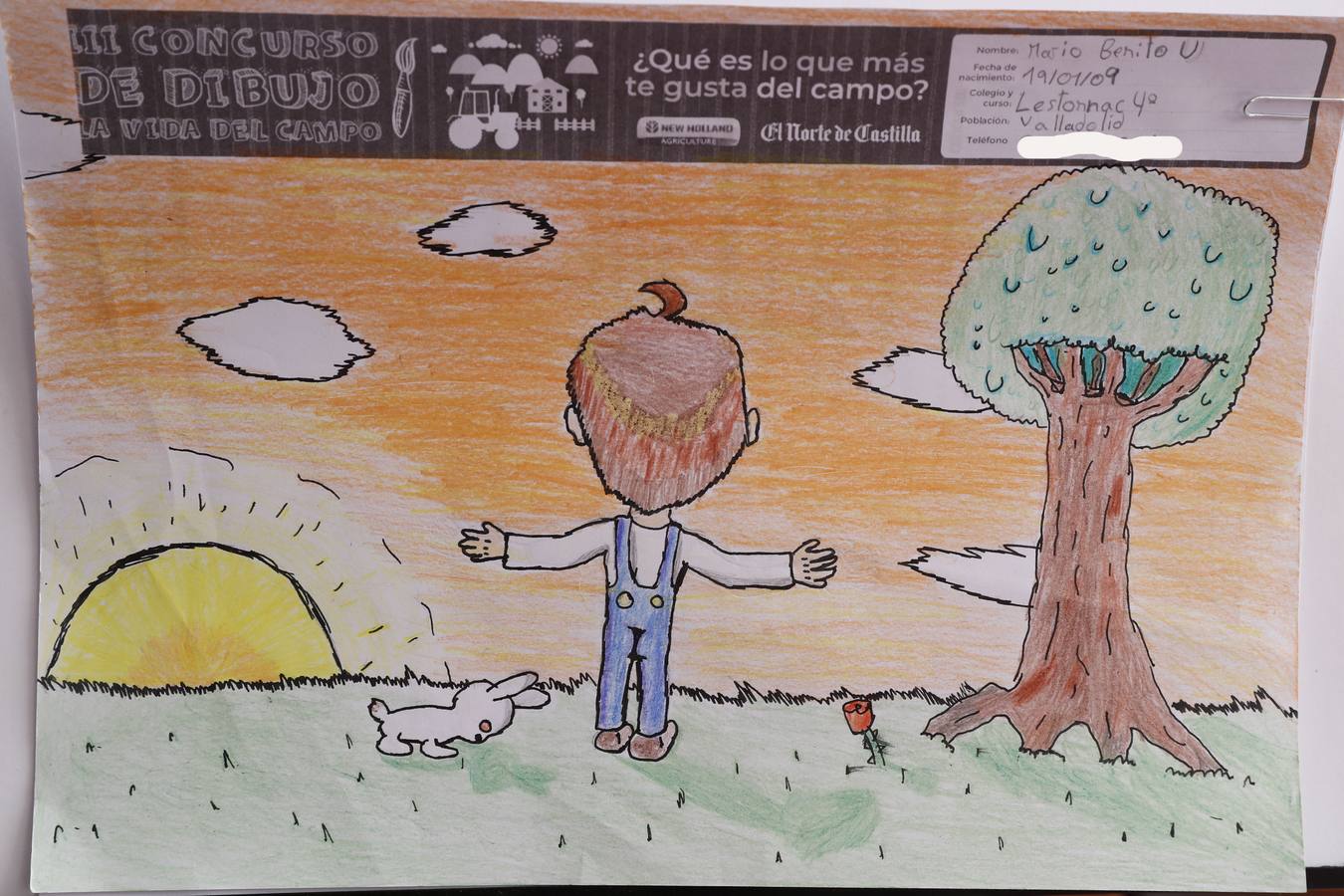 Fotos: Trabajos de 4º de Primaria en la modalidad de dibujo del III Concurso de Dibujo y Cómic &#039;La vida del campo&#039;