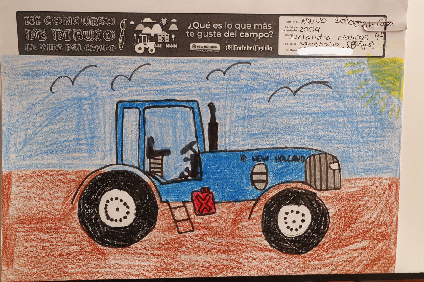 Fotos: Trabajos de 4º de Primaria en la modalidad de dibujo del III Concurso de Dibujo y Cómic &#039;La vida del campo&#039;