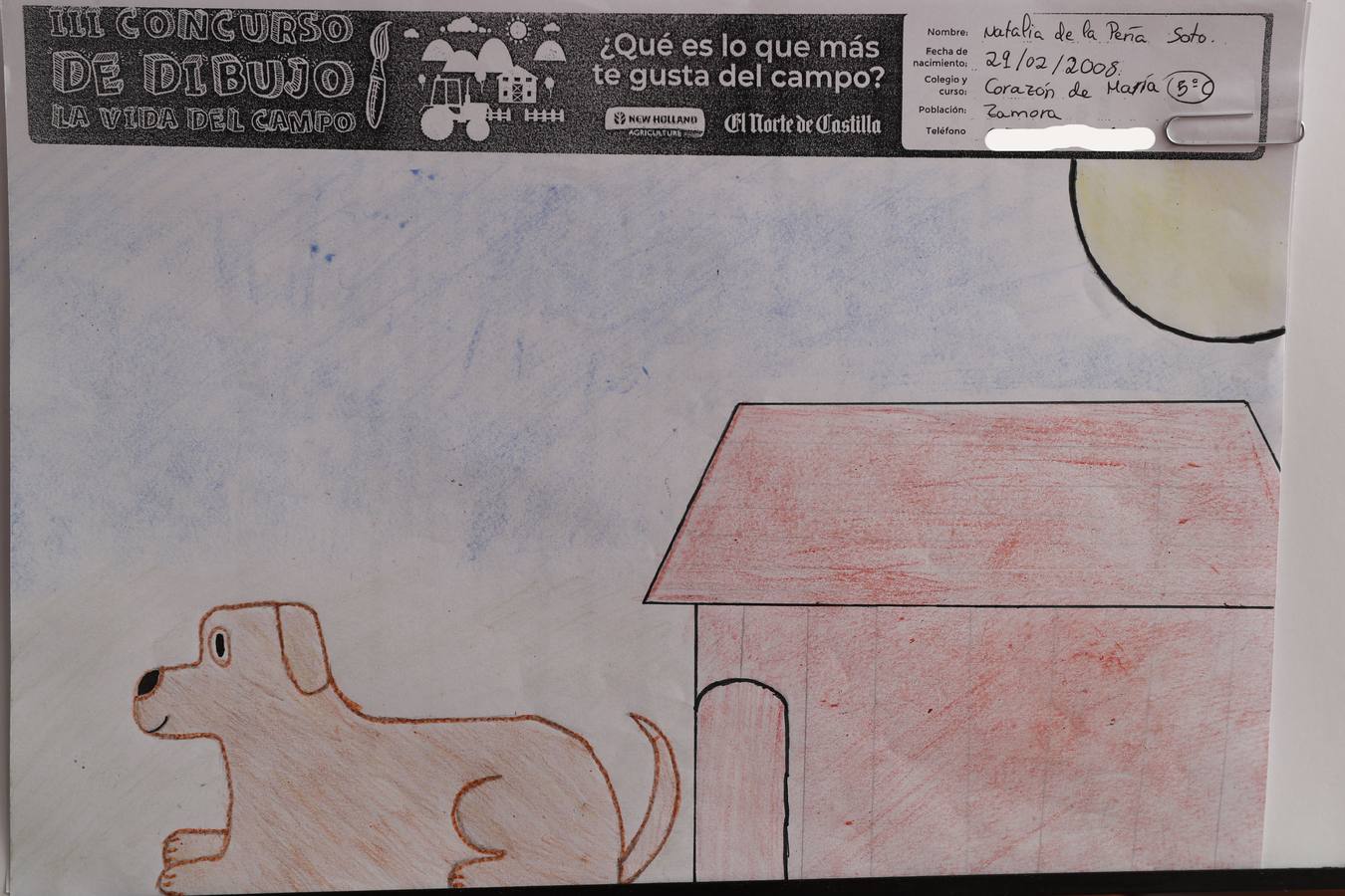 Fotos: Trabajos de 5º de Primaria en la modalidad de dibujo del III Concurso de Dibujo y Cómic &#039;La vida del campo&#039;