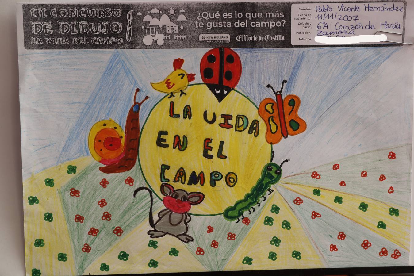 Fotos: Trabajos de 6º de Primaria en la modalidad de dibujo del III Concurso de Dibujo y Cómic &#039;La vida del campo&#039;