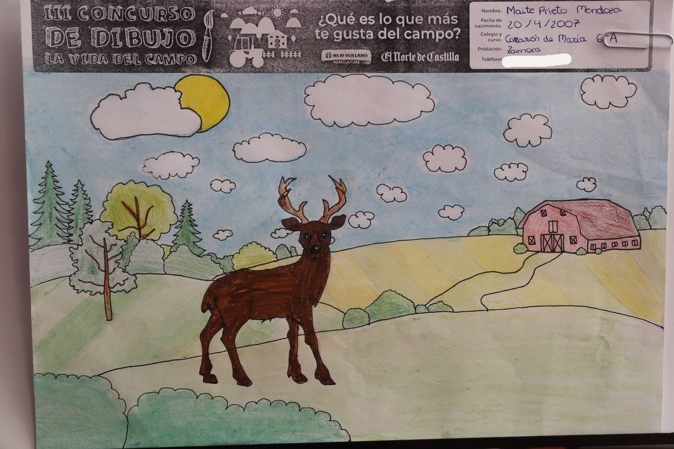 Fotos: Trabajos de 6º de Primaria en la modalidad de dibujo del III Concurso de Dibujo y Cómic &#039;La vida del campo&#039;