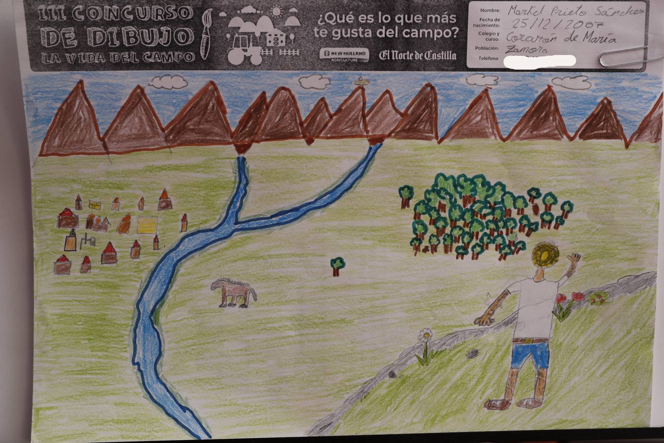 Fotos: Trabajos de 6º de Primaria en la modalidad de dibujo del III Concurso de Dibujo y Cómic &#039;La vida del campo&#039;