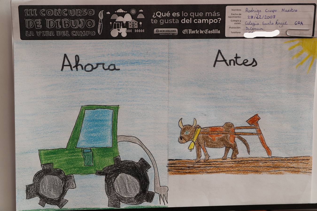 Fotos: Trabajos de 6º de Primaria en la modalidad de dibujo del III Concurso de Dibujo y Cómic &#039;La vida del campo&#039;