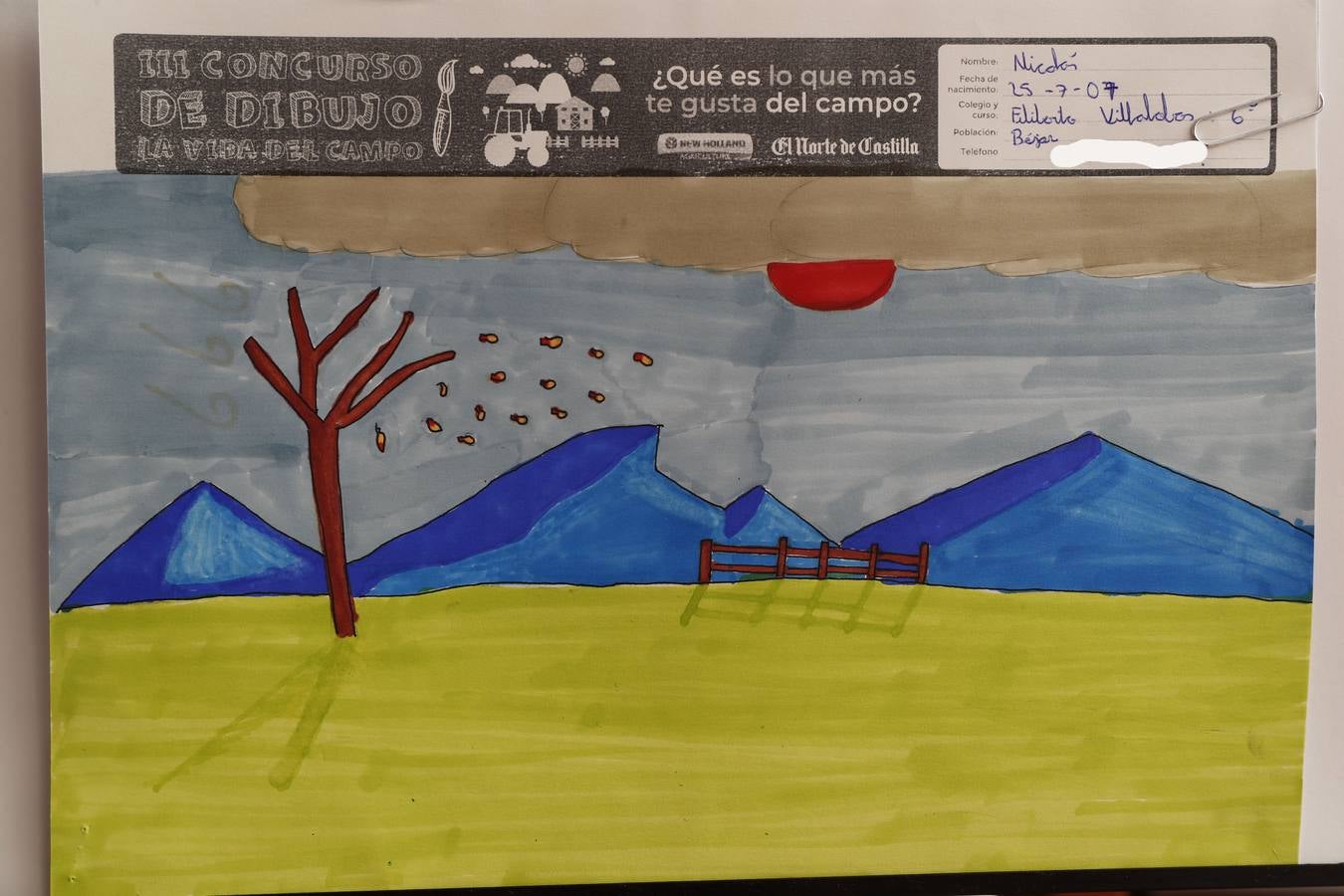 Fotos: Trabajos de 6º de Primaria en la modalidad de dibujo del III Concurso de Dibujo y Cómic &#039;La vida del campo&#039;