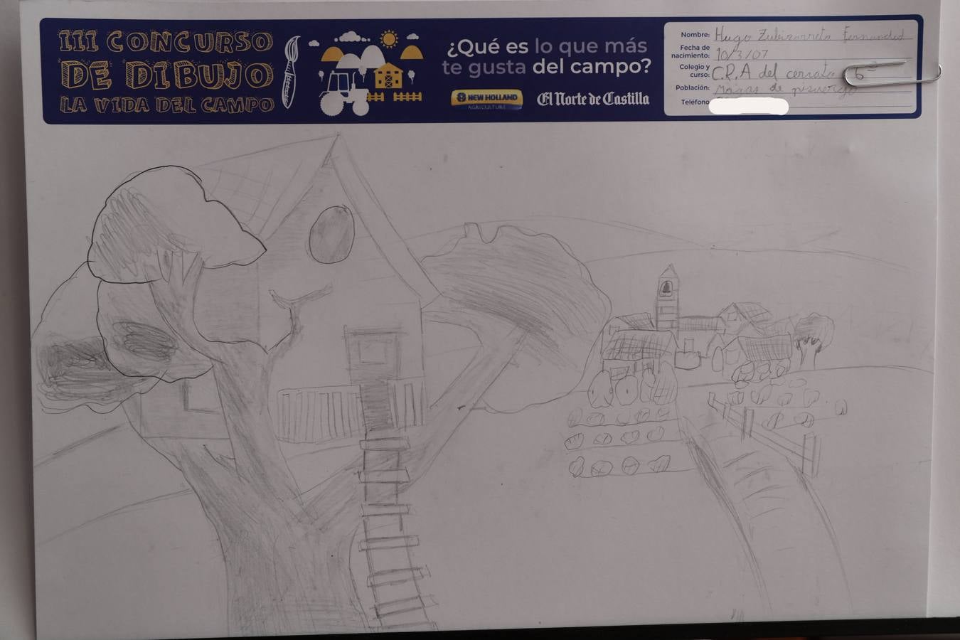 Fotos: Trabajos de 6º de Primaria en la modalidad de dibujo del III Concurso de Dibujo y Cómic &#039;La vida del campo&#039;