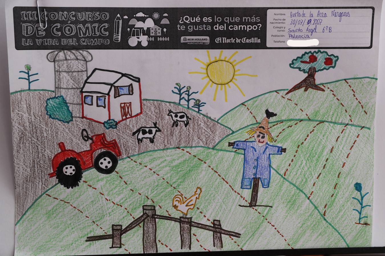 Fotos: Trabajos de 6º de Primaria en la modalidad de dibujo del III Concurso de Dibujo y Cómic &#039;La vida del campo&#039;