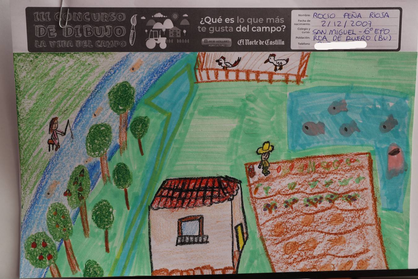 Fotos: Trabajos de 6º de Primaria en la modalidad de dibujo del III Concurso de Dibujo y Cómic &#039;La vida del campo&#039;