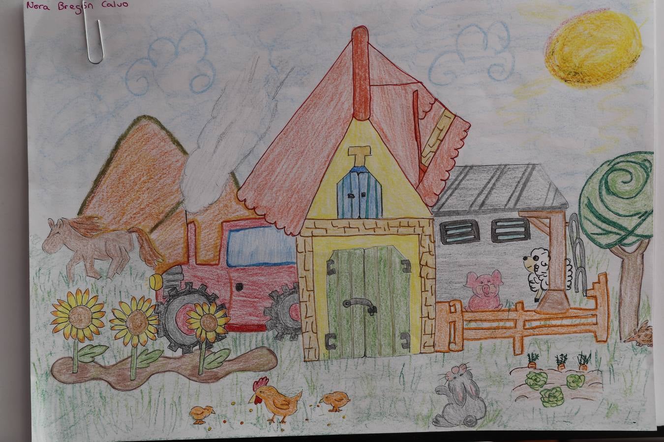 Fotos: Trabajos de 6º de Primaria en la modalidad de dibujo del III Concurso de Dibujo y Cómic &#039;La vida del campo&#039;