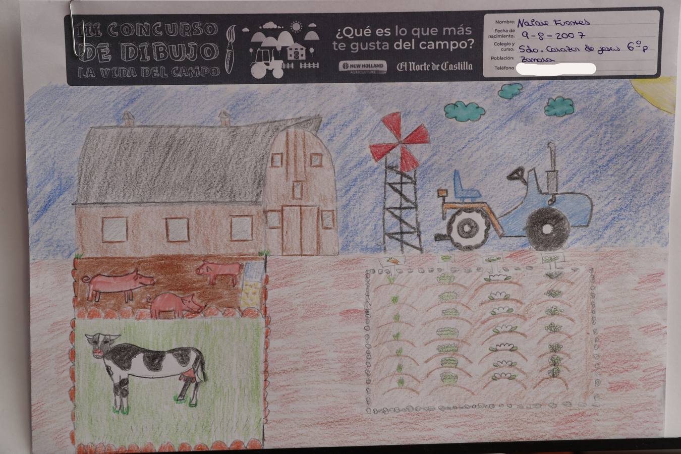 Fotos: Trabajos de 6º de Primaria en la modalidad de dibujo del III Concurso de Dibujo y Cómic &#039;La vida del campo&#039;