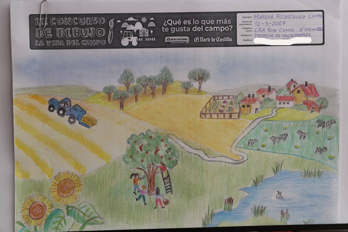 Fotos: Trabajos de 6º de Primaria en la modalidad de dibujo del III Concurso de Dibujo y Cómic &#039;La vida del campo&#039;