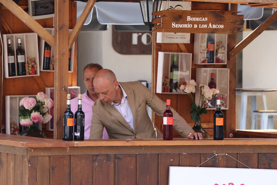 Fotos: Feria del Vino en la capital leonesa