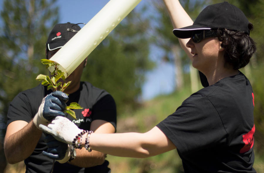 Fotos: Actividades de la asociación Tyto Alba en la reserva ornitólogica de Palacios de Compludo