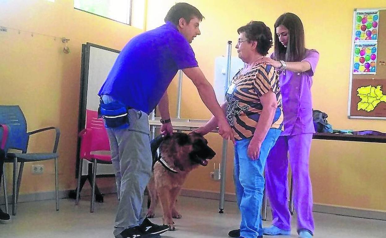 Una de las personas con alzheimer interactúa con un perro.