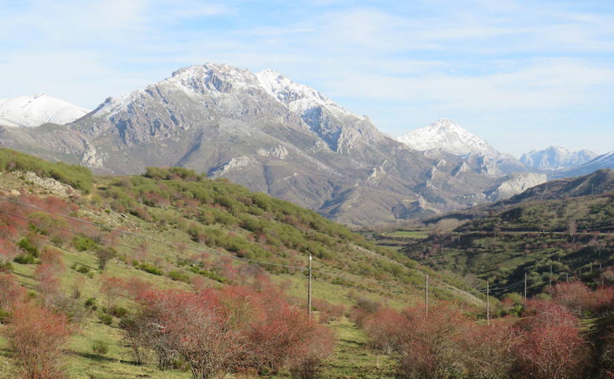 Diversidad de la Reserva de la Biosfera del Alto Bernesga.