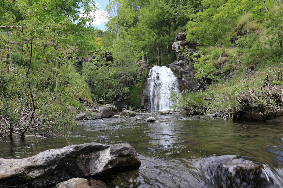 Este enclave declarado en el año 2005 reserva de la biosfera se sitúa en el norte de la provincia de León, limitando con Asturias. Cuenta con tres municipios Cármenes, Vegacervera, y Lugueros,