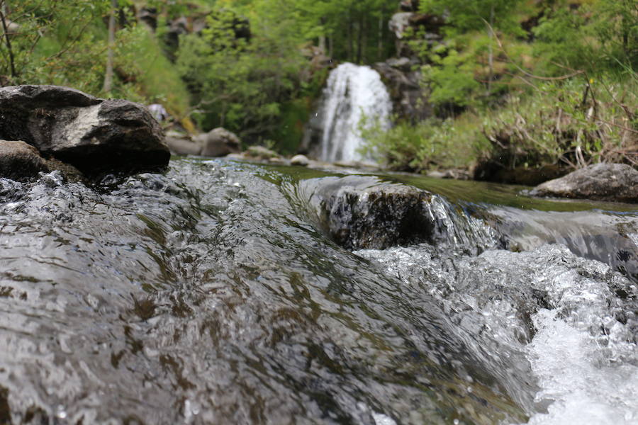 Este enclave declarado en el año 2005 reserva de la biosfera se sitúa en el norte de la provincia de León, limitando con Asturias. Cuenta con tres municipios Cármenes, Vegacervera, y Lugueros,