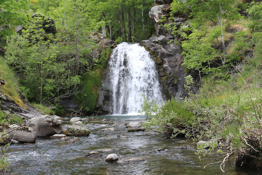 Este enclave declarado en el año 2005 reserva de la biosfera se sitúa en el norte de la provincia de León, limitando con Asturias. Cuenta con tres municipios Cármenes, Vegacervera, y Lugueros,