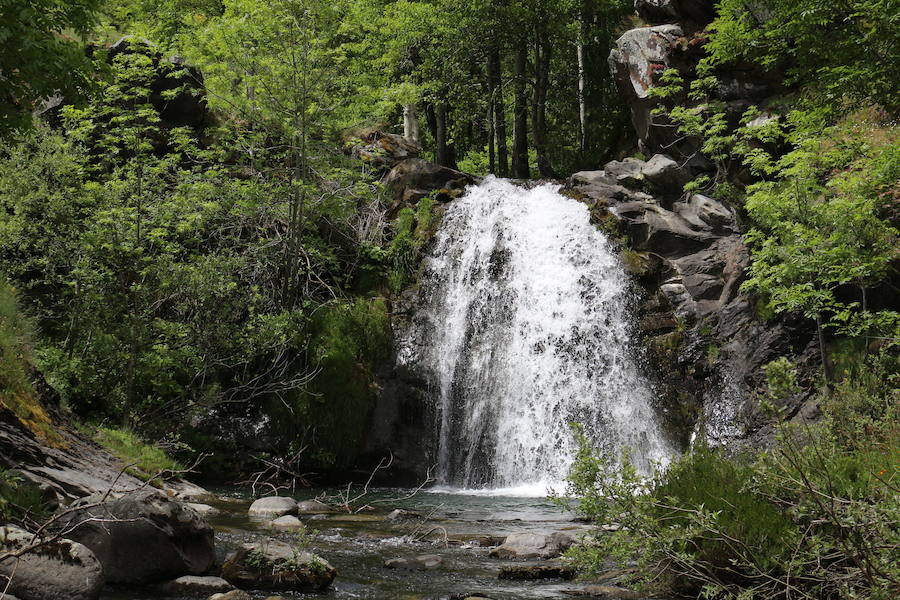 Este enclave declarado en el año 2005 reserva de la biosfera se sitúa en el norte de la provincia de León, limitando con Asturias. Cuenta con tres municipios Cármenes, Vegacervera, y Lugueros,