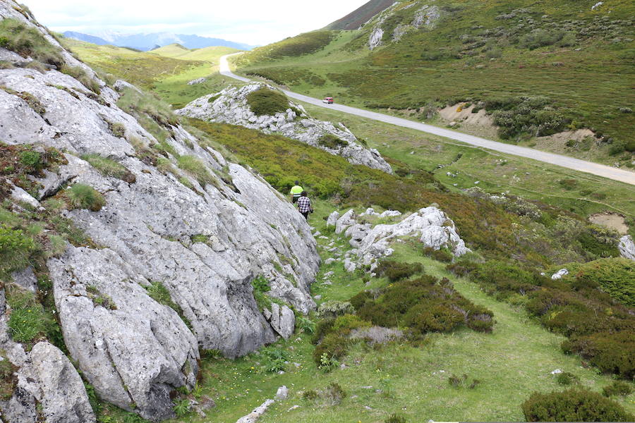 Este enclave declarado en el año 2005 reserva de la biosfera se sitúa en el norte de la provincia de León, limitando con Asturias. Cuenta con tres municipios Cármenes, Vegacervera, y Lugueros,