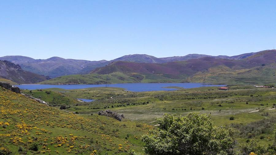 La riqueza y biodiversidad del Alto Bernesga es excepcio- nal, debido a su ubicación biogeográfica en la zona de transición entre la España mediterránea y la España atlántica, disfrutando de especies arbóreas de ambas regiones separadas por escasos metros. La Reserva de la Biosfera del Alto Bernesga fue declara- da por la UNESCO en 2005. Desde entonces, han sido numerosos los pasos que se han dado hacia la consoli- dación de la misma, basados todos ellos en programas y procesos donde la participación ciudadana es prioritaria. 