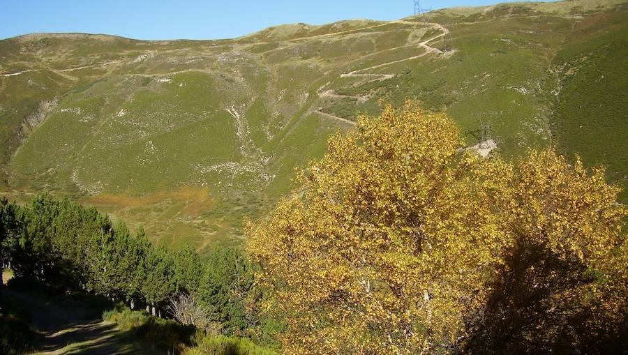 La riqueza y biodiversidad del Alto Bernesga es excepcio- nal, debido a su ubicación biogeográfica en la zona de transición entre la España mediterránea y la España atlántica, disfrutando de especies arbóreas de ambas regiones separadas por escasos metros. La Reserva de la Biosfera del Alto Bernesga fue declara- da por la UNESCO en 2005. Desde entonces, han sido numerosos los pasos que se han dado hacia la consoli- dación de la misma, basados todos ellos en programas y procesos donde la participación ciudadana es prioritaria. 