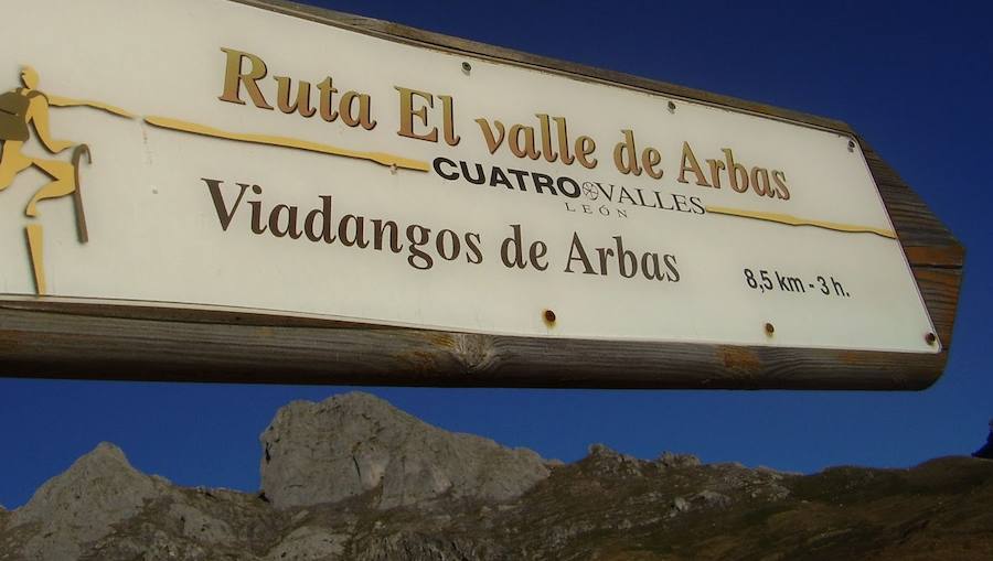 La riqueza y biodiversidad del Alto Bernesga es excepcio- nal, debido a su ubicación biogeográfica en la zona de transición entre la España mediterránea y la España atlántica, disfrutando de especies arbóreas de ambas regiones separadas por escasos metros. La Reserva de la Biosfera del Alto Bernesga fue declara- da por la UNESCO en 2005. Desde entonces, han sido numerosos los pasos que se han dado hacia la consoli- dación de la misma, basados todos ellos en programas y procesos donde la participación ciudadana es prioritaria. 