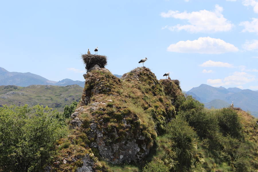 Fotos: Reserva de la biosfera de Babia, paraíso natural