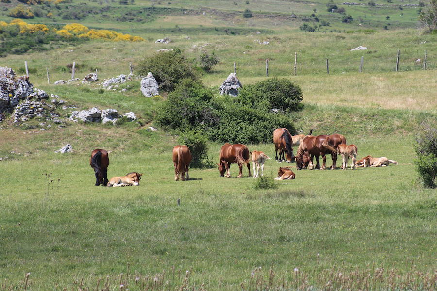 Fotos: Reserva de la biosfera de Babia, paraíso natural