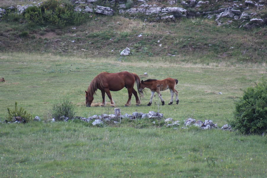 Fotos: Reserva de la biosfera de Babia, paraíso natural