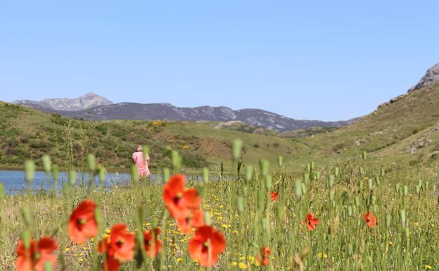 Galería. Reserva de la biosfera de Babia. 