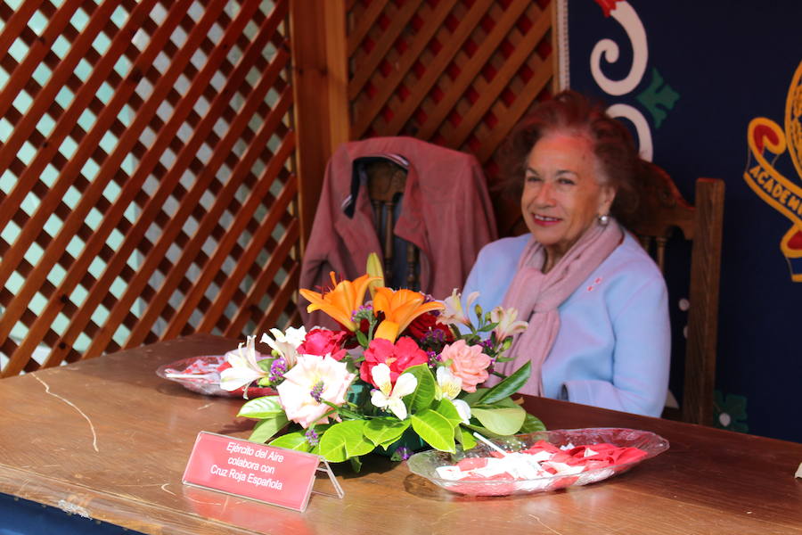 Fotos: Las banderitas de Cruz Roja inundan León