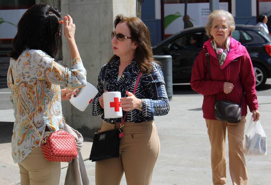 Fotos: Las banderitas de Cruz Roja inundan León