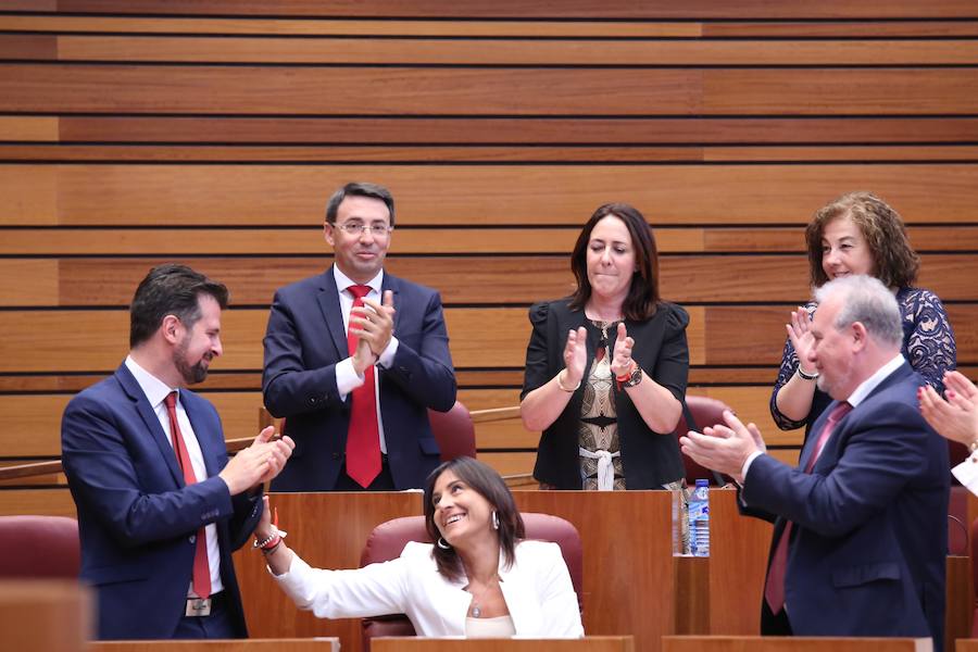 Fotos: Sesión Constitutiva de las Cortes de Castilla y León de la X legislatura