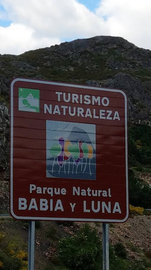 Fotos: Momentos del #retoBttBierzoBabia organizado por la Fundación Bas Van der Goor