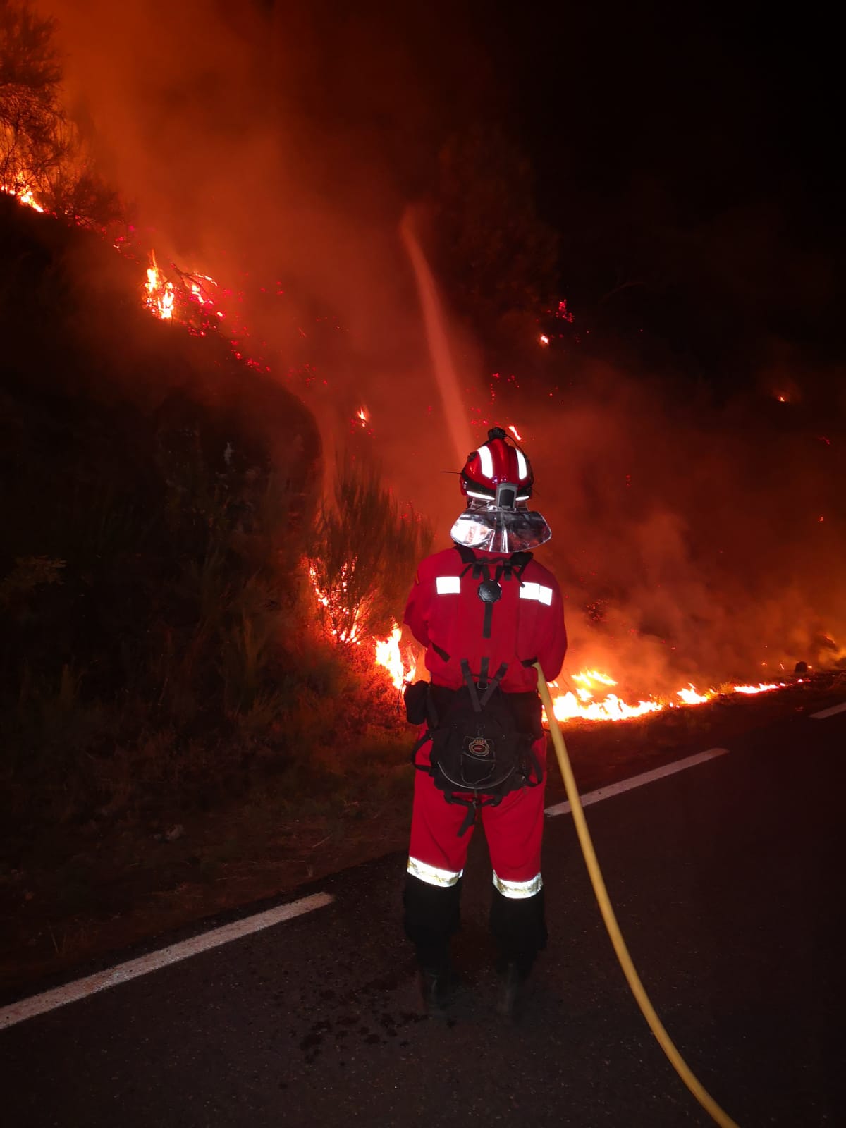 Fotos: La UME actúa en Ávila