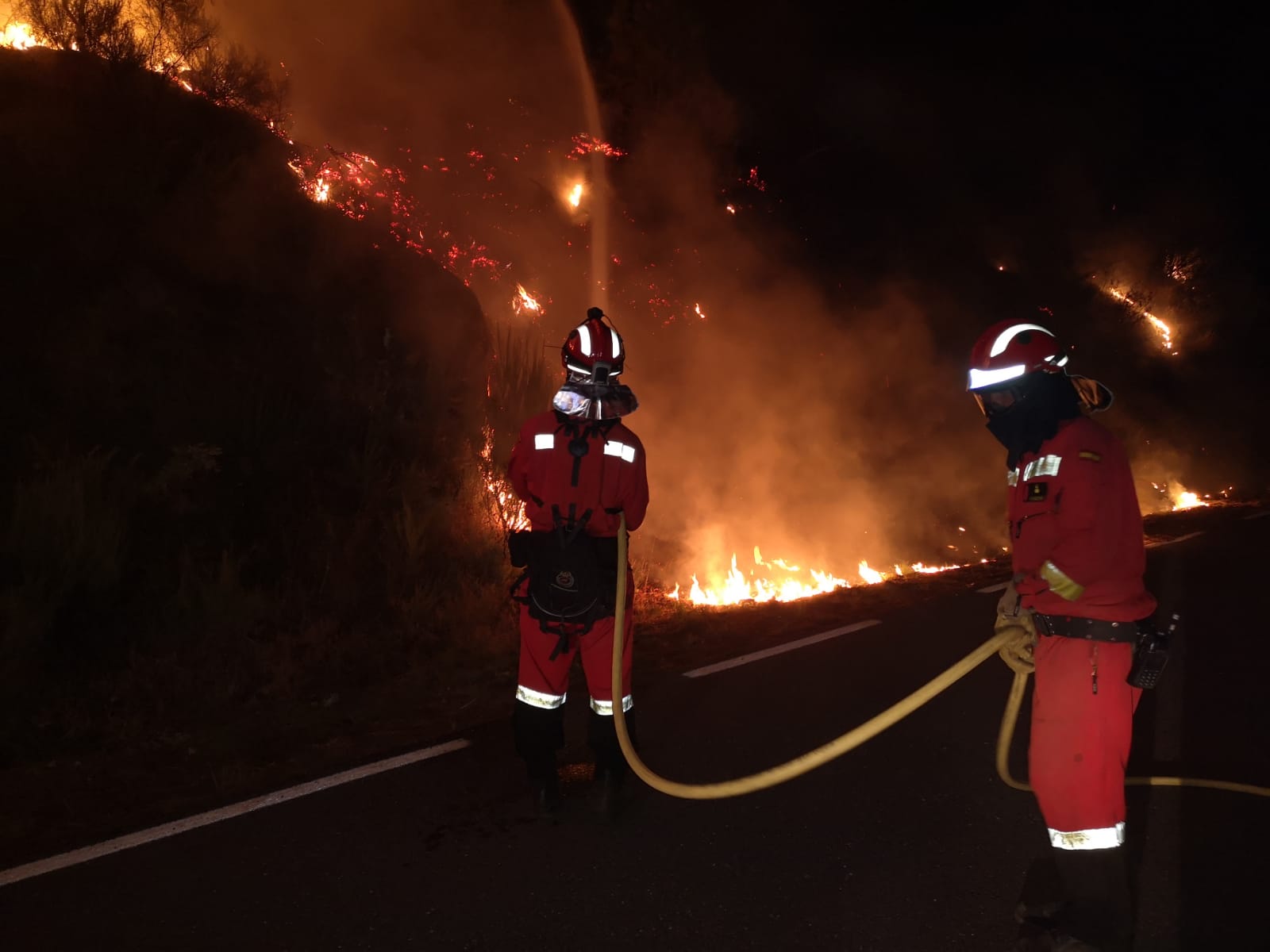 Fotos: La UME actúa en Ávila