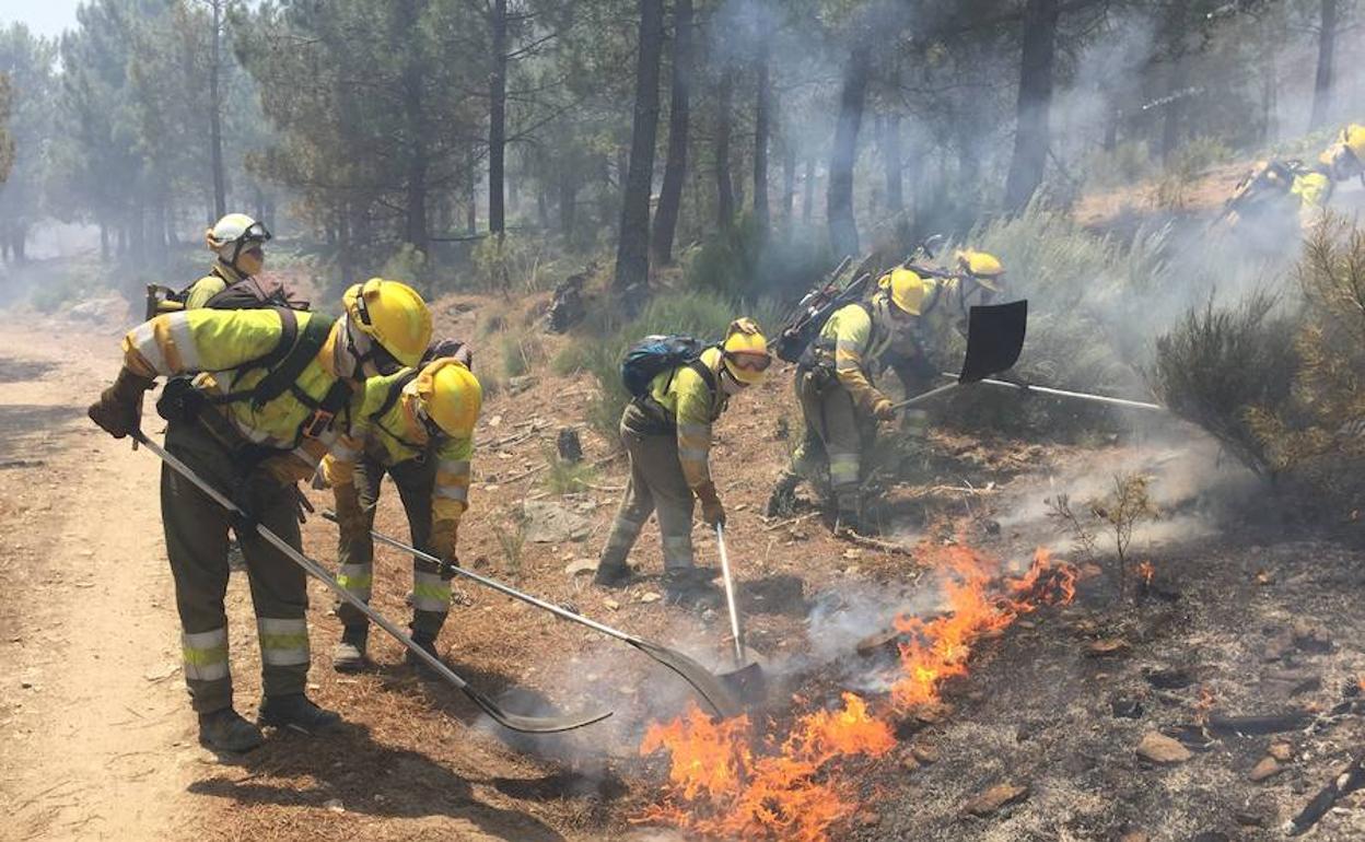 Último incendio ocurrido en el Valle del Tiétar.