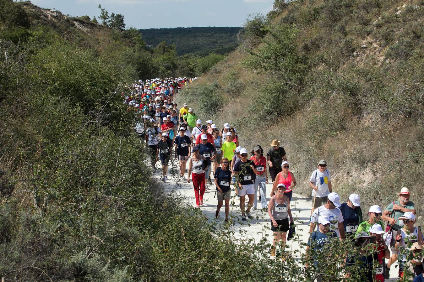 Segunda edición de la Marcha a pie '3 Patrimonios, 1 marcha', que se inicia en los yacimientos de la Sierra de Atapuerca, pasando por el Camino de Santiago y finalizando en la Catedral de Burgos, uniendo así los tres Patrimonios Mundiales de la provincia.