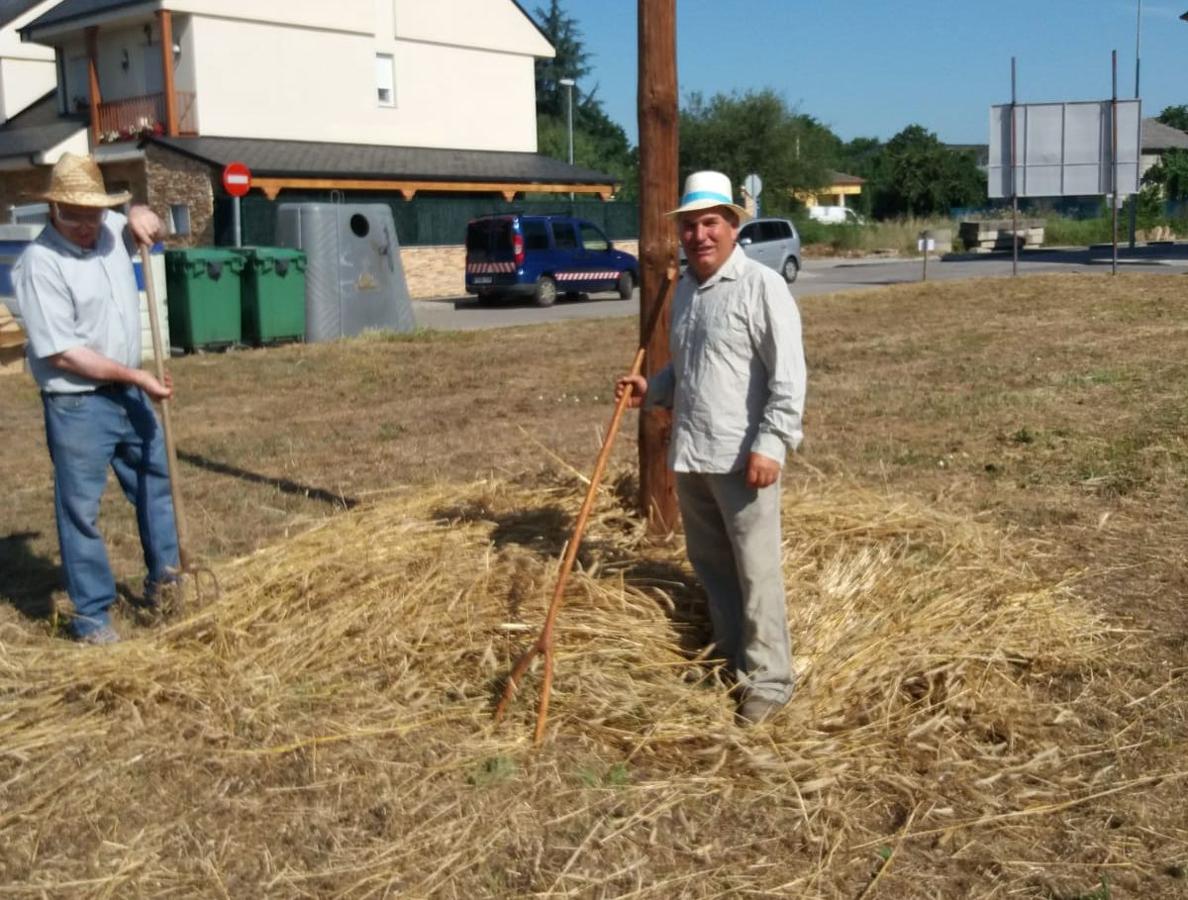Fotos: Fiesta de la Maja en Camponaraya