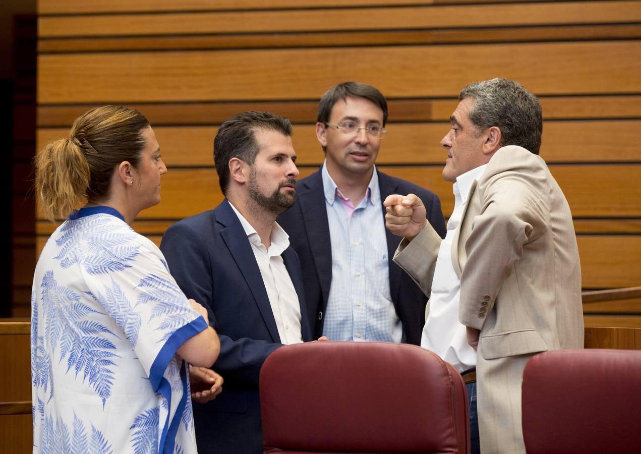 Los votos a favor de PP y Ciudadanos han convertido al vitoriano Javier Maroto en nuevo senador autonómico por Castilla y León | El vicesecretario de Organización del PP (sin vinculación anterior con la comunidad) ha sido elegido como miembro de la Cámara Alta, junto con los socialistas Teresa López y Fran Díaz, en una votación conjunta, no exenta de polémica.