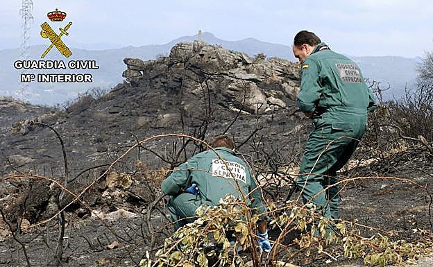 Efectivos del Seprona investigan el origen de un incendio forestal.