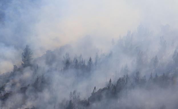 Galería. Incendio en la carretera del pantano perteneciente al municipio de Ponferrada.